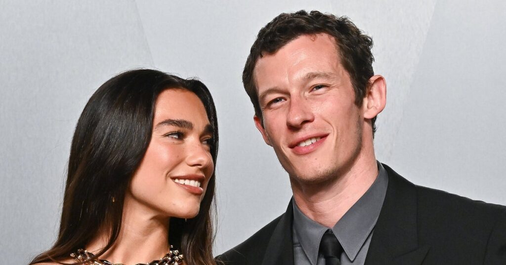 Singer Dua Lipa Ties Knot With Actor Callum Turner