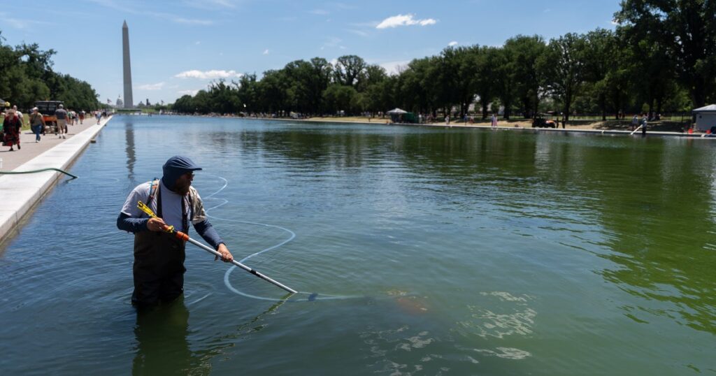 Trump Tries To Blame Reflecting Pool Woes On Vandalism, Says It Will Likely Be Drained Again For Repairs Trump Tries To Blame Reflecting Pool Woes On Vandalism, Says It Will Likely Be Drained Again For Repairs