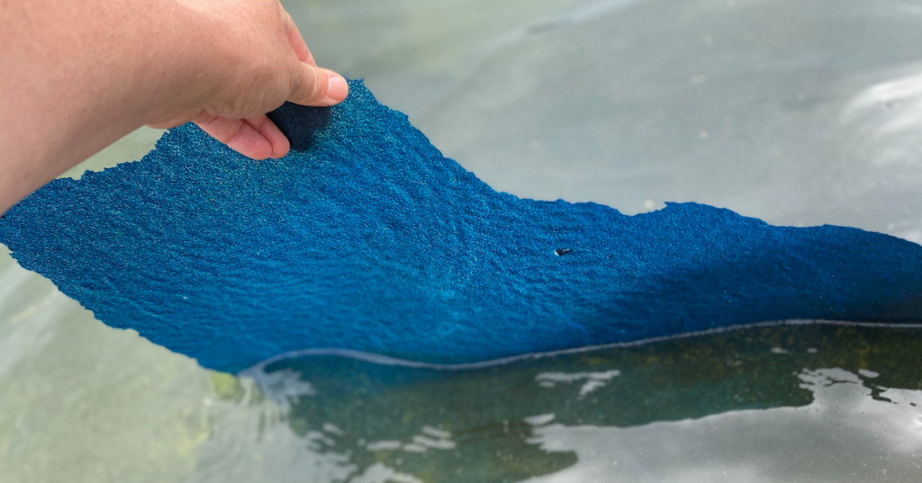 Trump’s $14M Reflecting Pool Paint Job Is Now Peeling Off And Floating To The Surface Trump's $14M Reflecting Pool Paint Job Is Now Peeling Off And Floating To The Surface