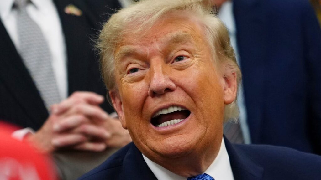 Trump's New 'Tin Pot Dictator' Passport May Have 1 Awkward Phrase