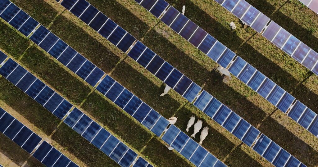 U.S. Solar Power Outpaces Coal For First Time As Trump Tries To Turn Back The Clock U.S. Solar Power Outpaces Coal For First Time As Trump Tries To Turn Back The Clock