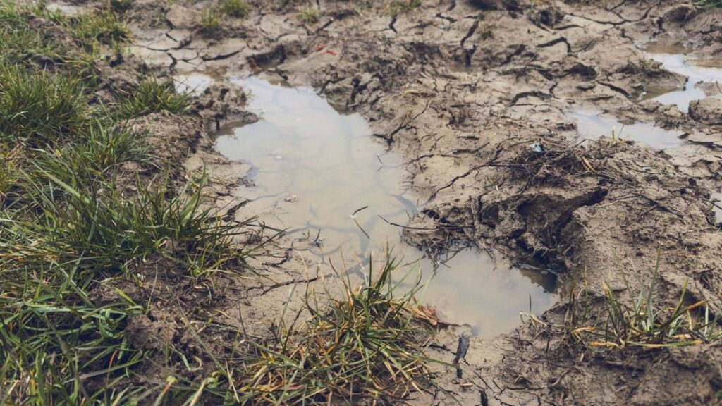 Woman Missing For 3 Days Found Alive Stuck On Back In Mud Puddle 'Like Quicksand'