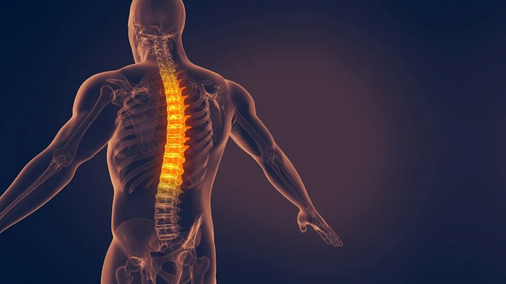 DePuy Synthes expands spine portfolio after Expanding Innovations acquisition DePuy Synthes expands spine portfolio after Expanding Innovations acquisition