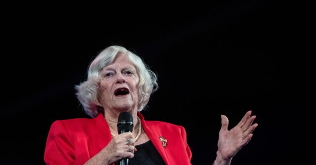 Fresh Suspect Arrested over Alleged Murder Brexit Hero Widdecombe