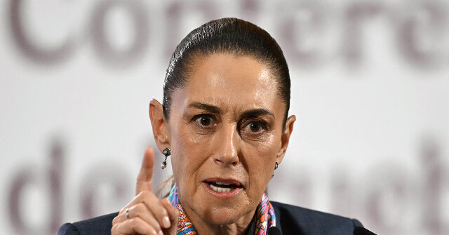Mexico Threatens Legal Action Against ICE Over Shooting of Illegal Alien in Texas