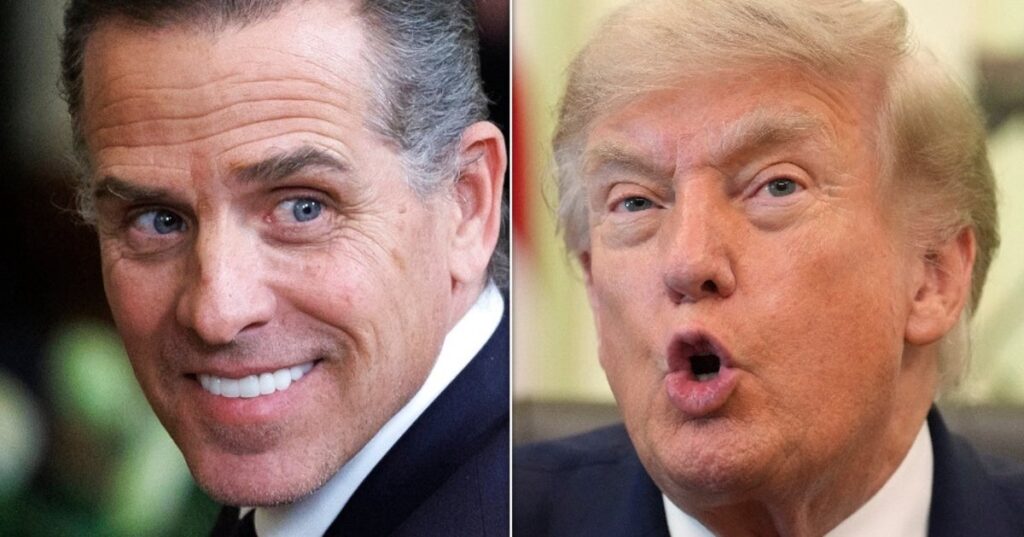 Hunter Biden’s Trump Troll Takes A Taunting New Turn Hunter Biden's Trump Troll Takes A Taunting New Turn