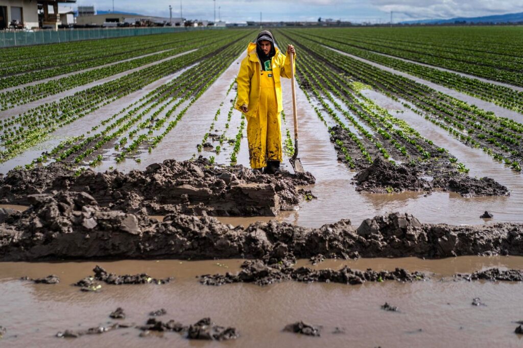 It’s The Water, Not Produce, Likely Driving Cyclospora Outbreaks