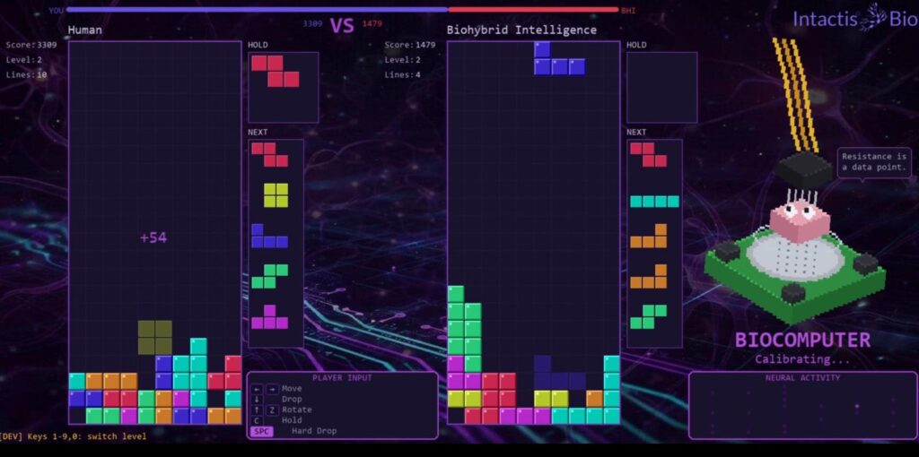 Neurons Playing Tetris—Intactis Bio Joins the Biocomputing Industry