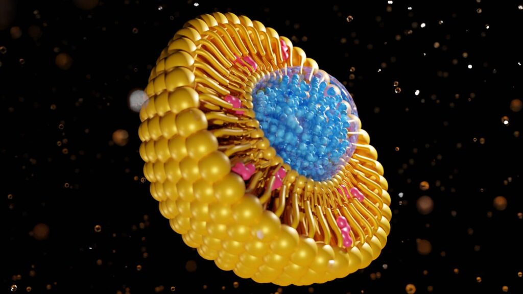New Antibody Formulations Allow Antibodies To Target Structures Hidden Within Cells