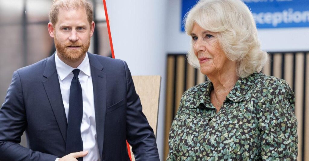 Read the Four Harsh Words Prince Harry Wrote About Queen Camilla Read the Four Harsh Words Prince Harry Wrote About Queen Camilla