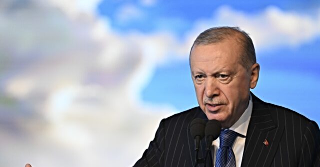 Erdogan Has Turkish Comedian Arrested for ‘Insulting’ Him and Islam