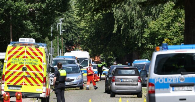 Five Shot Dead Despite Germany’s Gun Registration, Stringent Controls