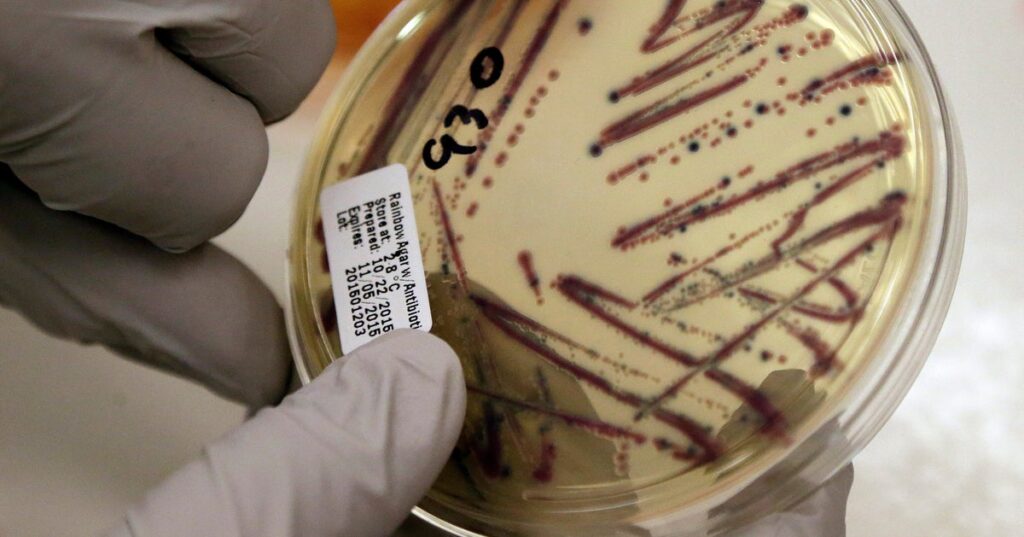 Alfalfa Sprout Outbreak Linked To Food-Poisoning In 15 States