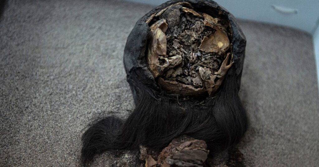 Ancient Mummy DNA Reveals Colonization Spread Smallpox Ancient Mummy DNA Reveals Colonization Spread Smallpox