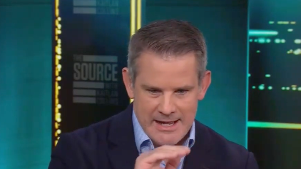 Anti-Trump Republican Gives Karoline Leavitt A Quirky Compliment