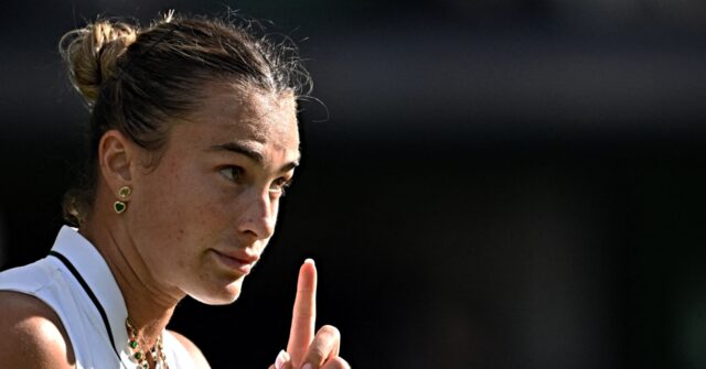 World’s Top-Ranked Female Tennis Player Supports Gene Testing to Keep Men out of Women’s Sports.