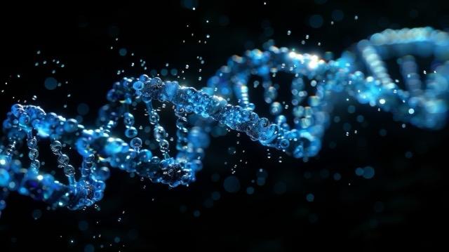 Cancer Genes Are Not Destiny, Your Whole Genome Has A Say Cancer Genes Are Not Destiny, Your Whole Genome Has A Say