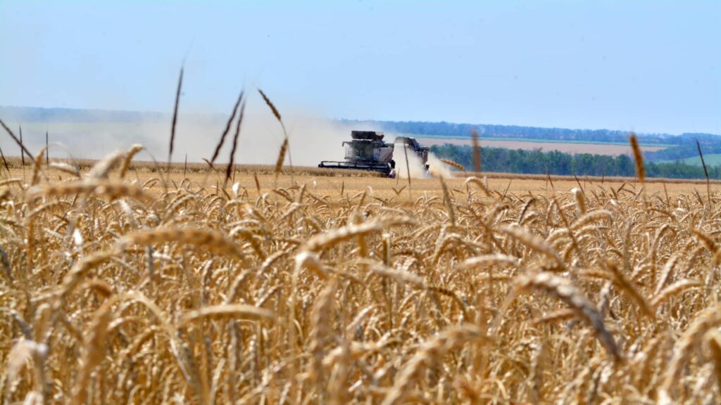 Corn and wheat prices jump to highest prices in more than three years Corn and wheat prices jump to highest prices in more than three years