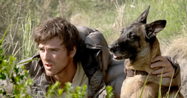 ‘Dog Stars’ Is Latest Expensive Flop for Disney Grooming Syndicate
