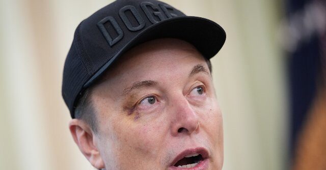 Michael Saylor Disputes Elon Musk’s Prediction that AI Will Make Money Irrelevant
