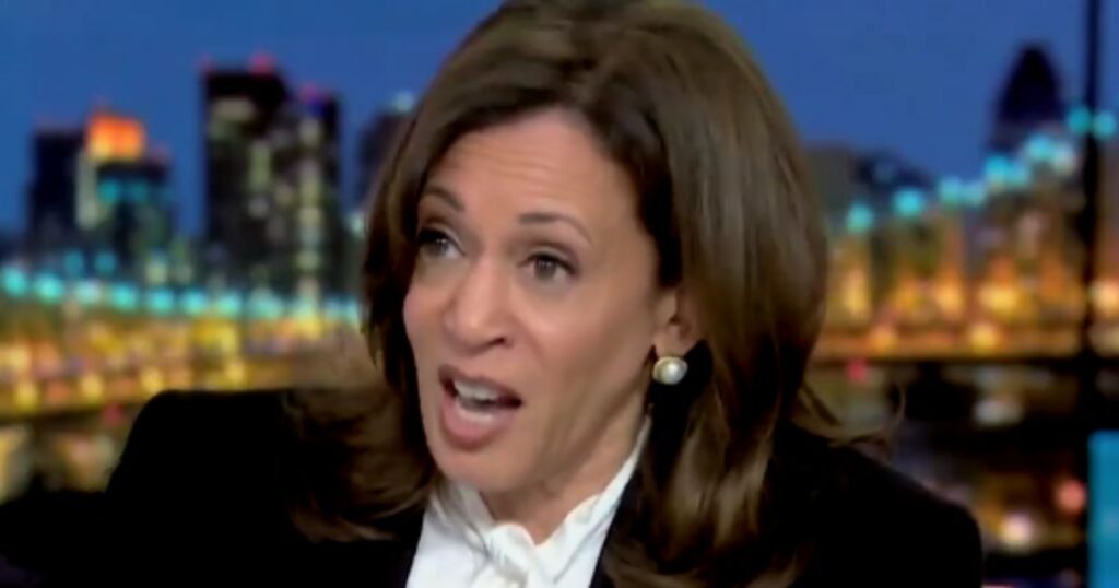 Former DNC Fundraiser Says Democrat Donors Are Not Going to Fund Another Kamala Harris for President Campaign (VIDEO) On Monday, former Vice President Kamala Harris went on MSNBC to promote her new book and took the time to jab President Donald Trump and call him a “tyrrant,” in a move the White House is calling an incitement of violence.