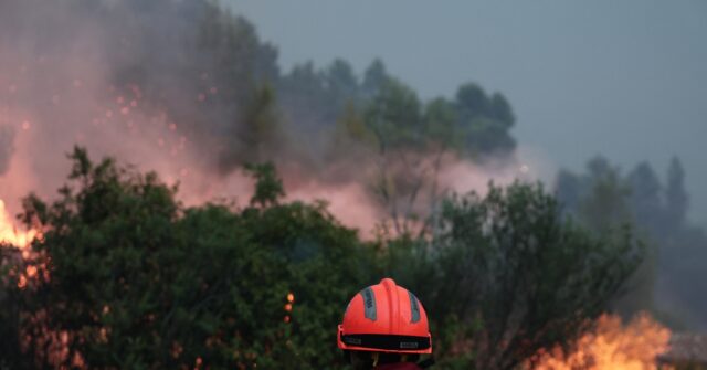Nearly 400 Arrested in France in Connection to So-Called ‘Wildfires’