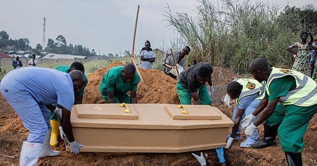 Study Finds Animals Likely Spread Ebola to Humans in Congo Outbreak