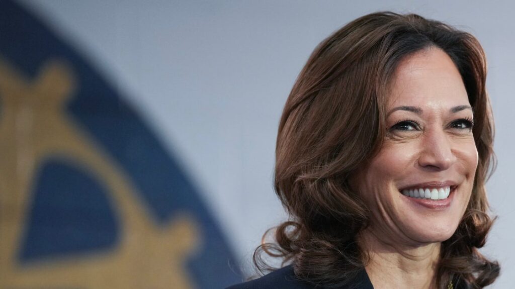 Kamala Harris Has A 'Controversial' Plan For Democrats