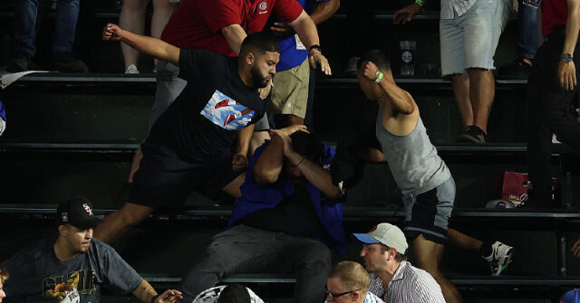 Chicago Cubs, White Sox Fans Battle in the Stands
