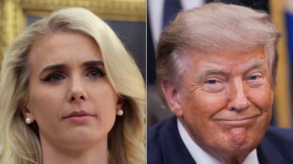 Natalie Harp Jumped In The Trunk Of Trump’s SUV After Being Denied A Seat, CNN Reports Natalie Harp Jumped In The Trunk Of Trump’s SUV After Being Denied A Seat, CNN Reports