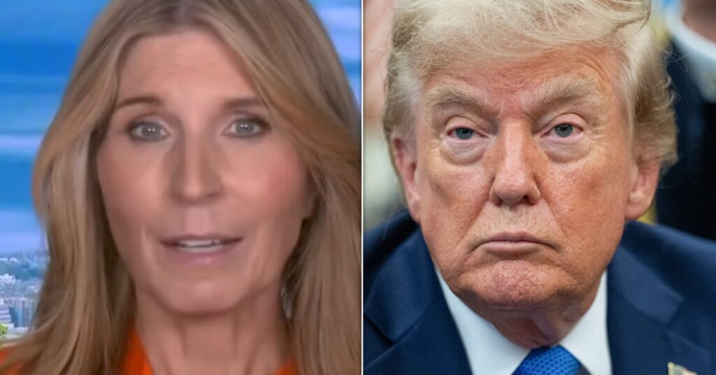 Nicolle Wallace Spots How Trump ‘Ended Up Confirming’ What He’d Just Denied