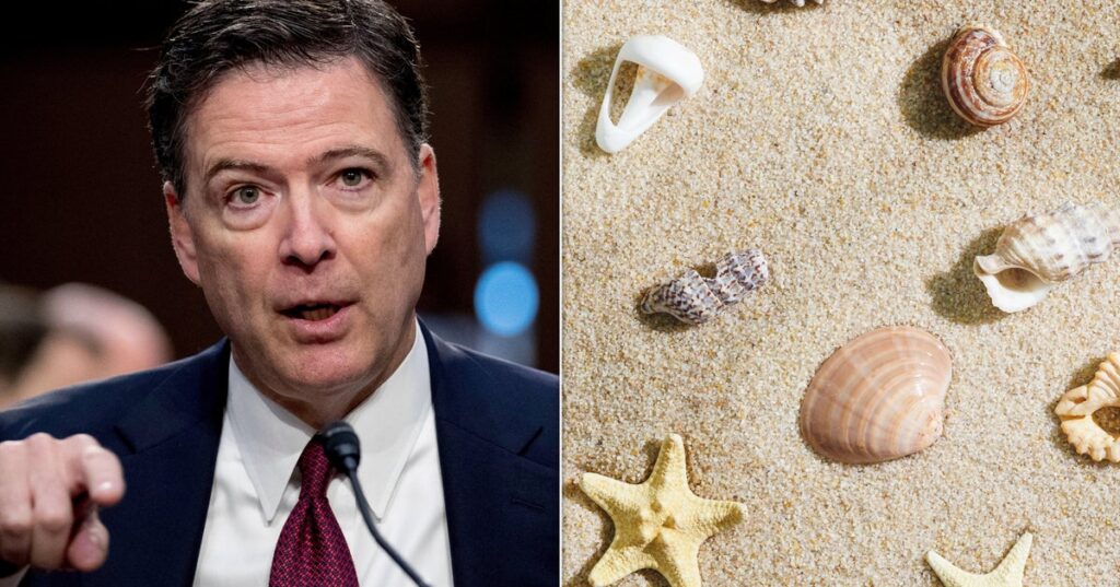 Prosecutors: ‘No Serious Dispute’ Comey Seashell Post Could Be Read As Trump Threat Prosecutors: ‘No Serious Dispute’ Comey Seashell Post Could Be Read As Trump Threat