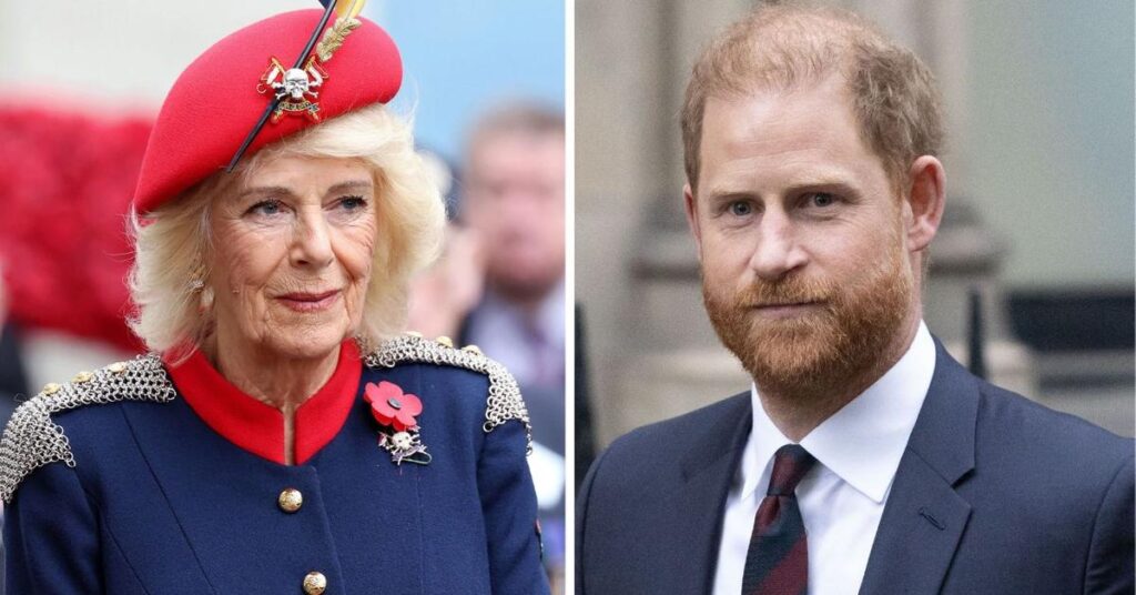 Queen Camilla Accused Of Meddling In Prince Harry's Royal Reunion