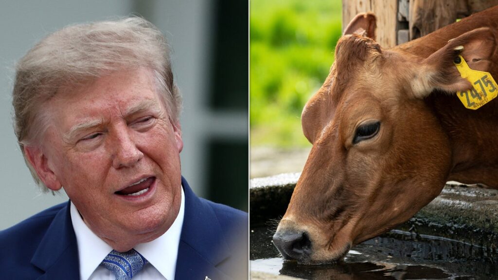 Republicans Clash With Trump Over Foreign Meat Imports Republicans Clash With Trump Over Foreign Meat Imports