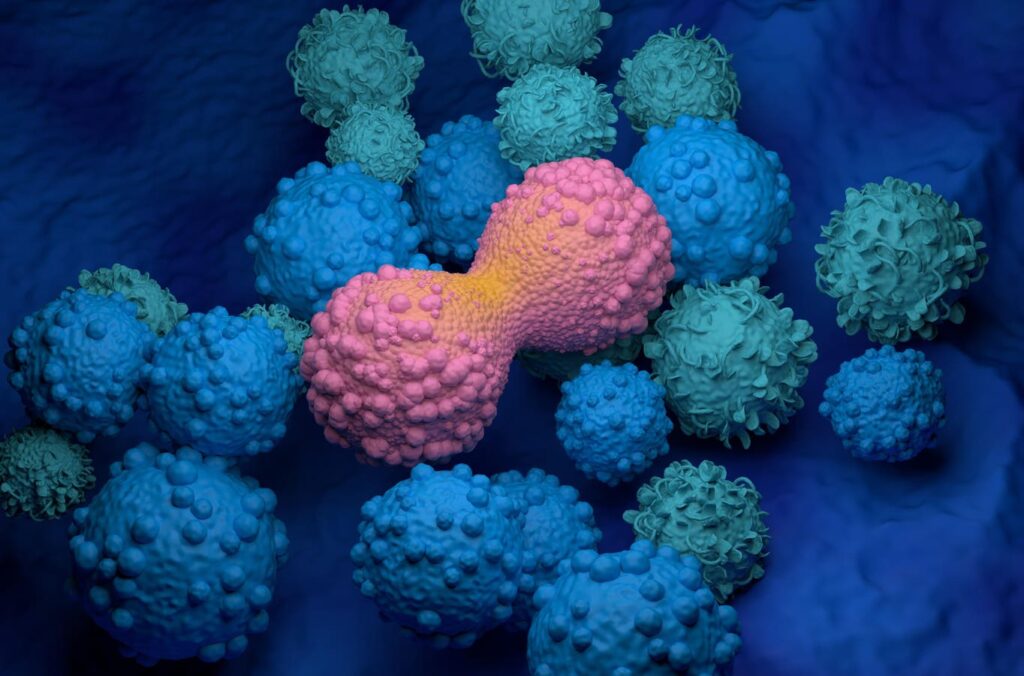 Targeting Cancer’s Weak Spot Targeting Cancer’s Weak Spot