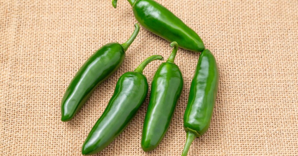 Taylor Farms Recalls Salsa, Guacamole Over Salmonella Risk Taylor Farms Recalls Salsa, Guacamole Over Salmonella Risk