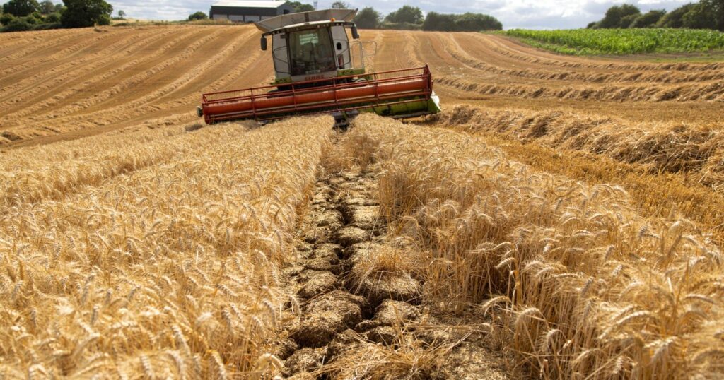 U.N. Warns 3 Global Crises Are About To Push Food Prices Higher U.N. Warns 3 Global Crises Are About To Push Food Prices Higher