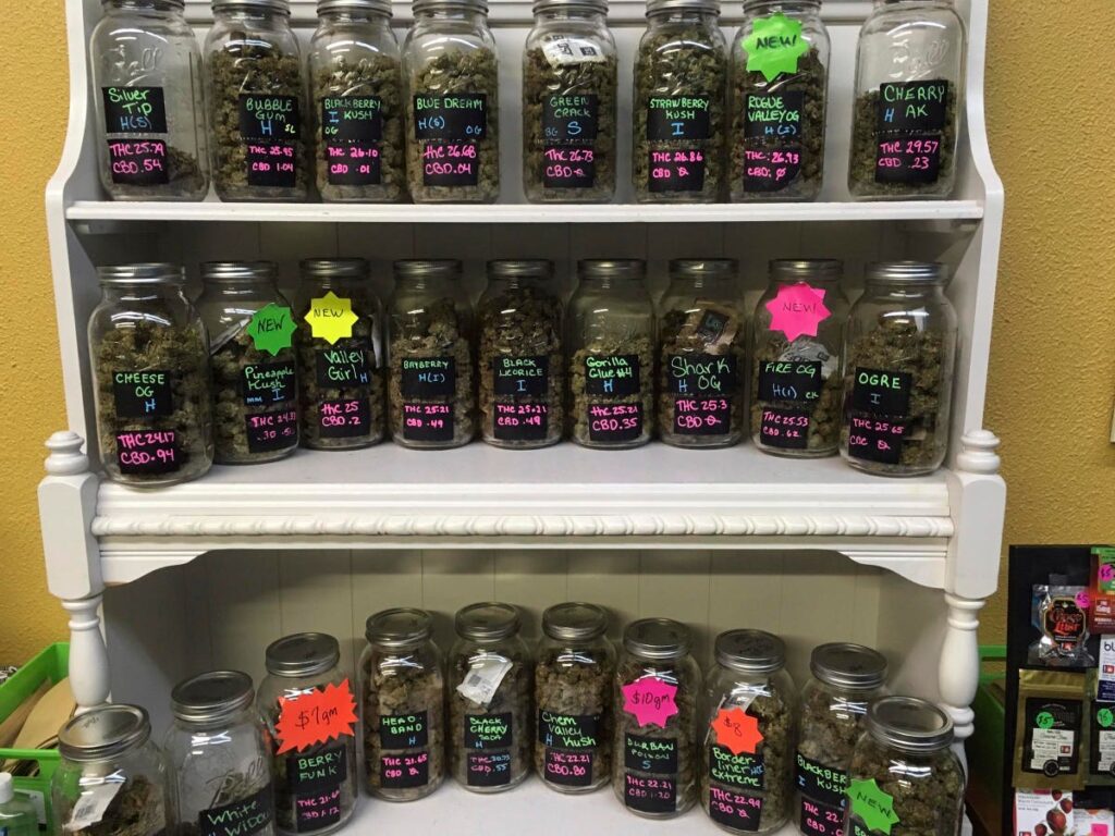 What Happens To The Body With Regular Cannabis Use? A Doctor Explains What Happens To The Body With Regular Cannabis Use? A Doctor Explains