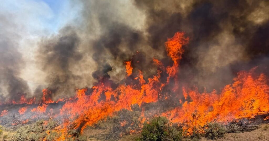 Wildfires Burn Across Western US And Canada As Residents Are Evacuated Wildfires Burn Across Western US And Canada As Residents Are Evacuated
