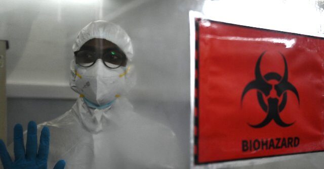 Stanford Researchers Use AI to Design 16 Viruses
