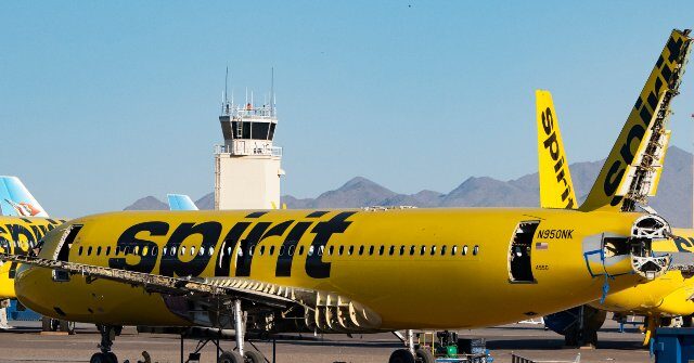 Google Buys Bankrupt Spirit Airlines’ Data Trove to Train AI Models