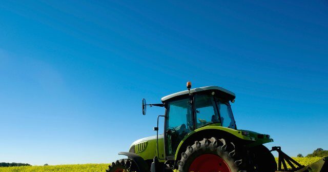 Kentucky Mother and Daughter Refuse $26 Million Offer for Family Farm from AI Data Center Developer