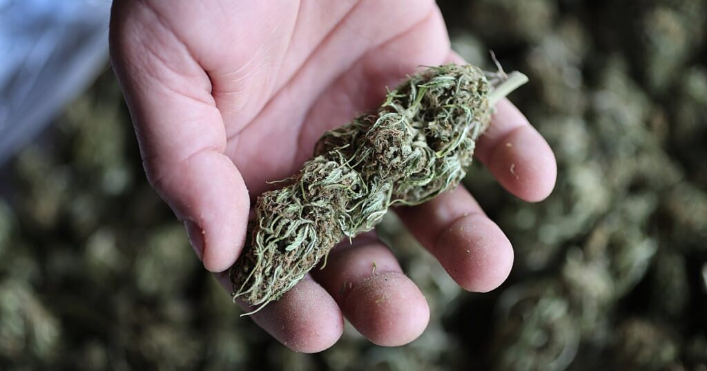 Congress Passes Bill Delaying Ban On Hemp THC Products Congress Passes Bill Delaying Ban On Hemp THC Products