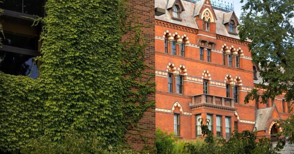 Cornell Student Says She Still Can’t Sleep After Alleged Attack Cornell Student Says She Still Can't Sleep After Alleged Attack