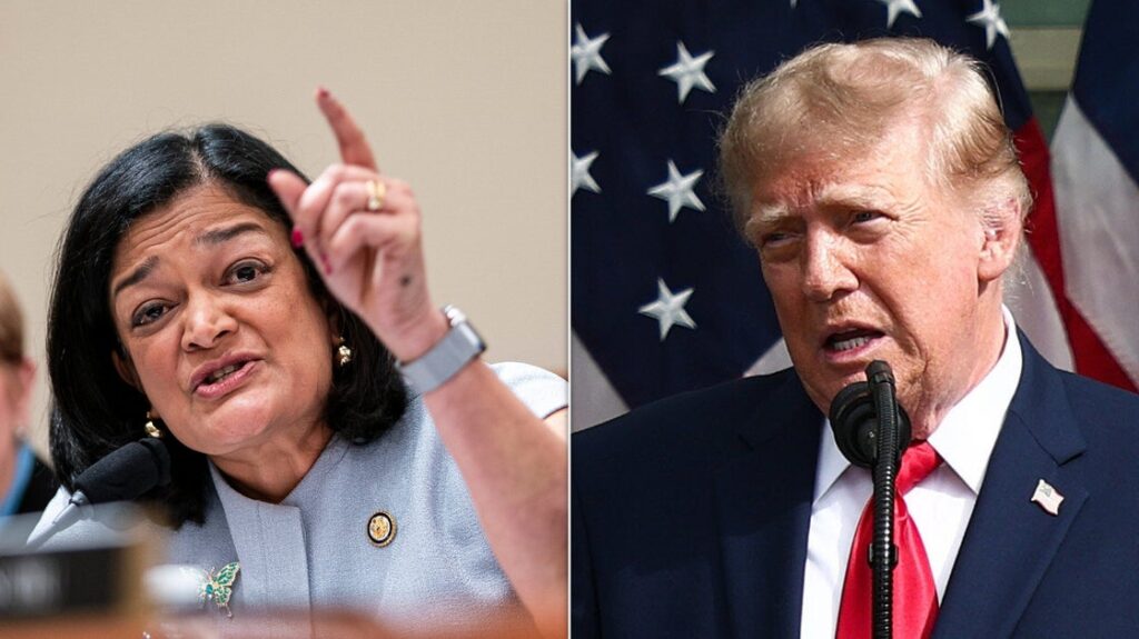 Dem Lawmaker Spots Sign Trump Is Panicking