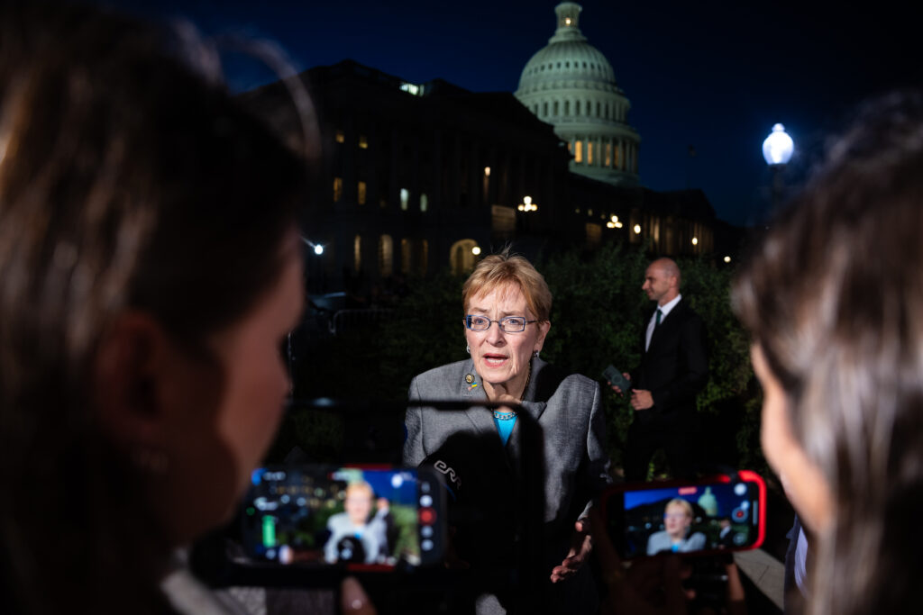 Democratic advisers are warning their candidates not to go too hard at AI Democratic advisers are warning their candidates not to go too hard at AI