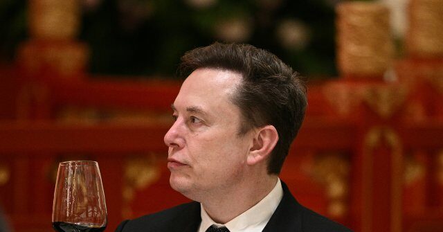 Elon Musk Lavishes Praise on Xi Jinping in Chinese State Media Interview