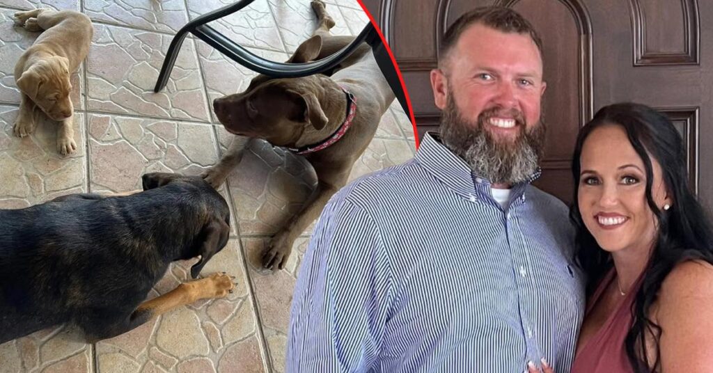 Florida Mom Accused of Acts With Dog Was Filmed 'Without Her Knowledge'