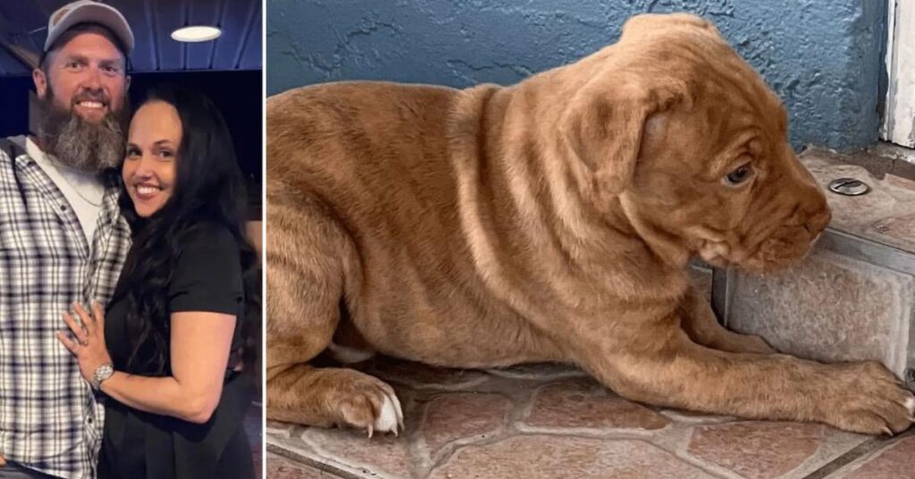 Florida Mom Accused of Sex With Dog 'Can Sue Ex Husband for Extortion'