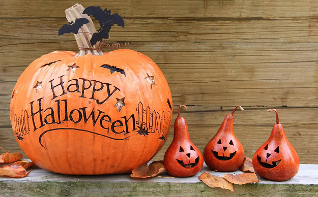 Funny, Short and Spooky Sayings A Halloween pumpkin with the text: Happy Halloween